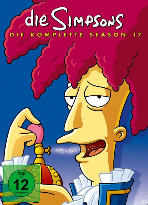 Simpsons Staffel 17 Collection Cover