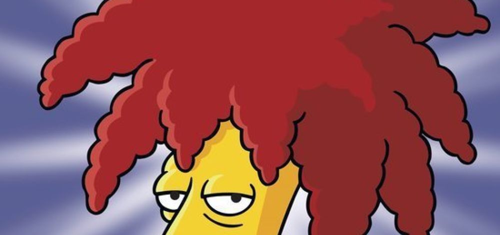 Die Simpsons - Staffel 17 - DVD
