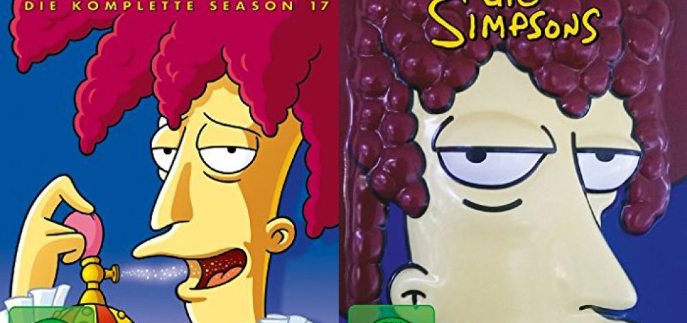Simpsons Staffel 17 DVD-Box