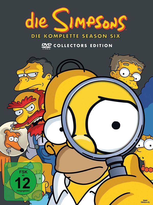 DVD: Die Simpsons Staffel 6