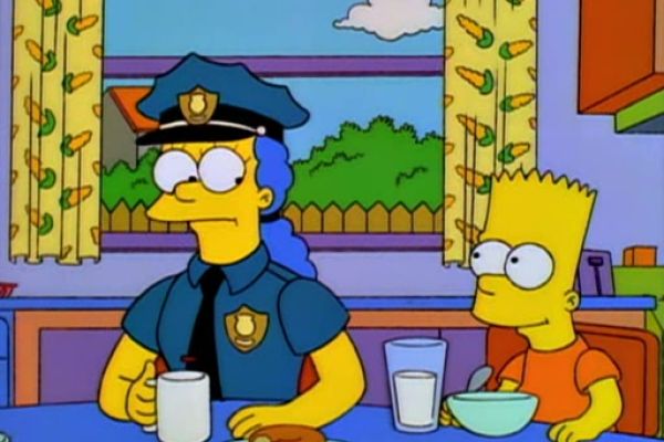 Die Springfield Connection