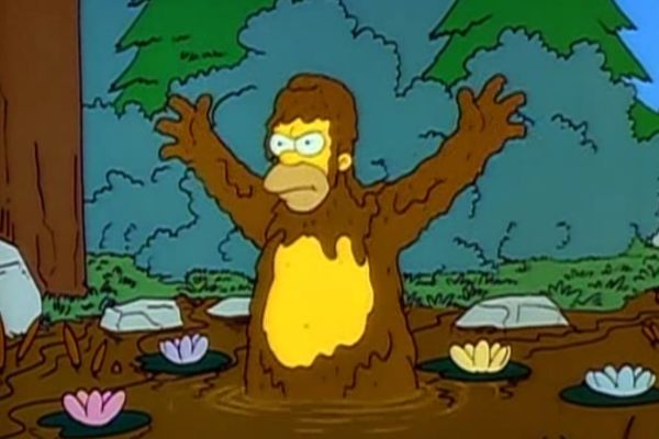 Vorsicht, wilder Homer