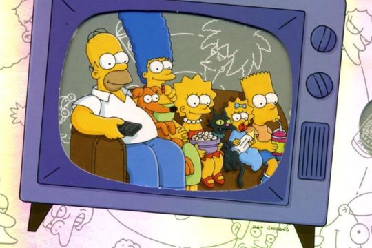 DVD: Die Simpsons Staffel 1