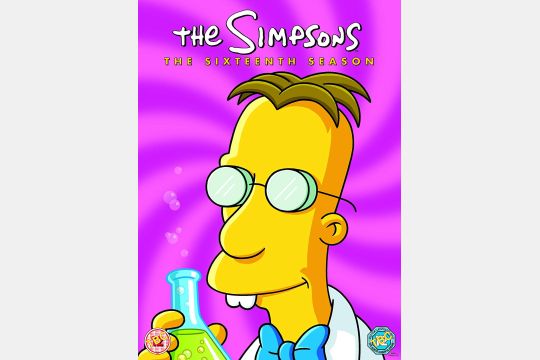 DVD: Die Simpsons Staffel 16
