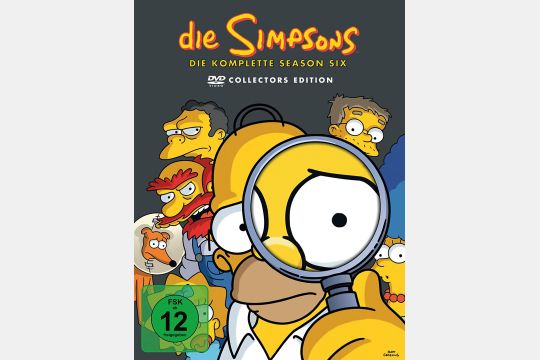 DVD: Die Simpsons Staffel 6