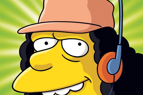 DVD: Die Simpsons Staffel 15