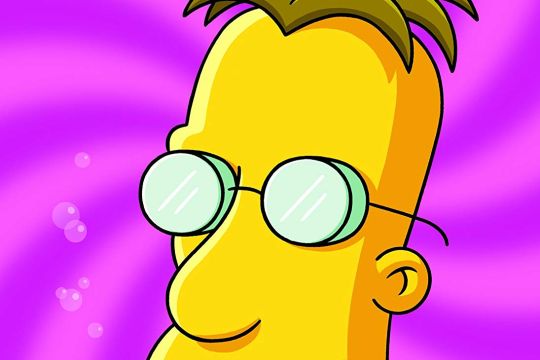 DVD: Die Simpsons Staffel 16