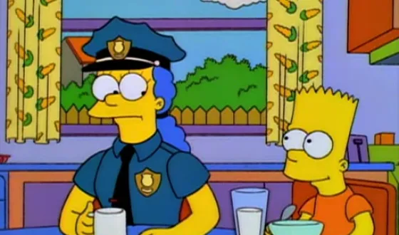 Die Springfield Connection