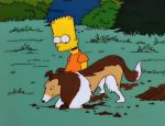 Der tollste Hund der Welt