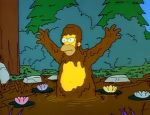 Vorsicht, wilder Homer