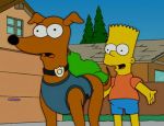 Stop! Oder mein Hund schießt