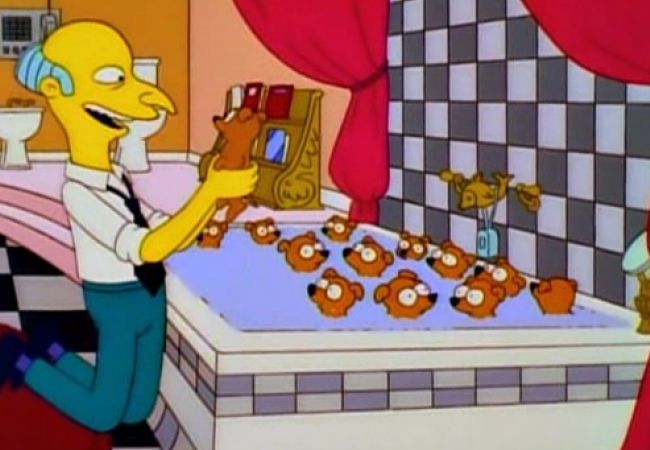Die Simpsons - 25 Windhundwelpen
