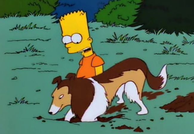 Die Simpsons - Der tollste Hund der Welt