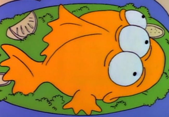 Blinky, der dreiäugige Fisch, wird auf einem Teller serviert.