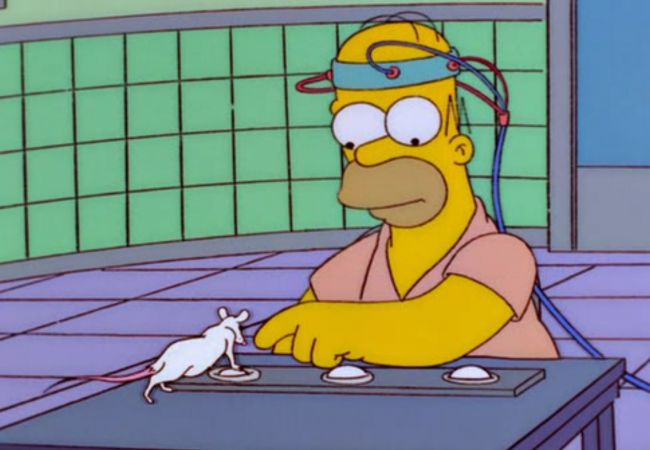 Homer tritt im Test gegen eine Ratte an.