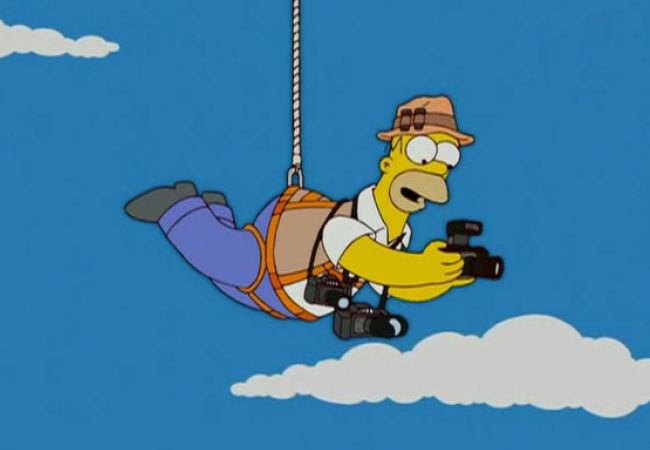 Die Simpsons - Homerazzi