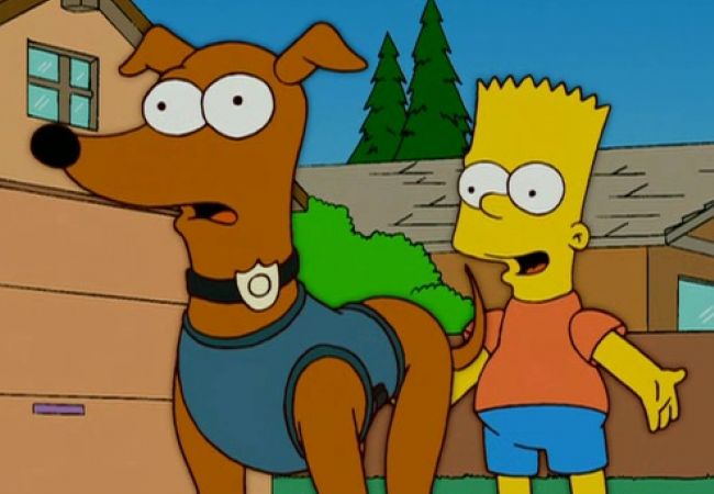 Die Simpsons - Stop! Oder mein Hund schießt