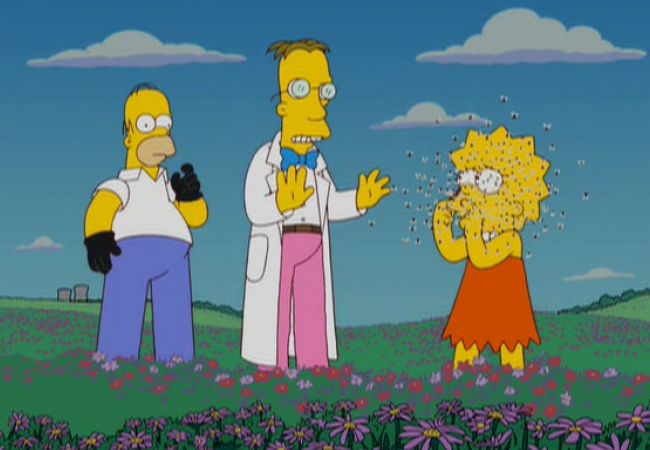 Die Simpsons - Ja, diese Biene, die ich meine, die heißt Monty