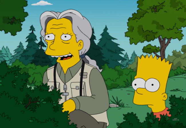 Die Simpsons - Auf der Suche nach Mr. Goodbart