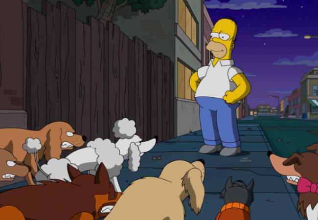 Die Simpsons - Dogtown