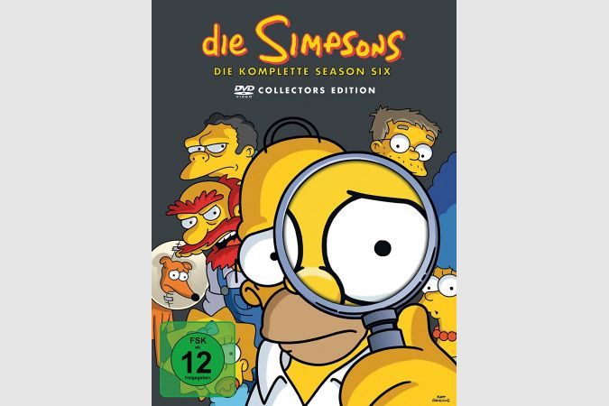 Simpsons Staffel 6 Collection